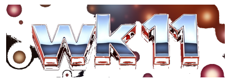 wk11 logo